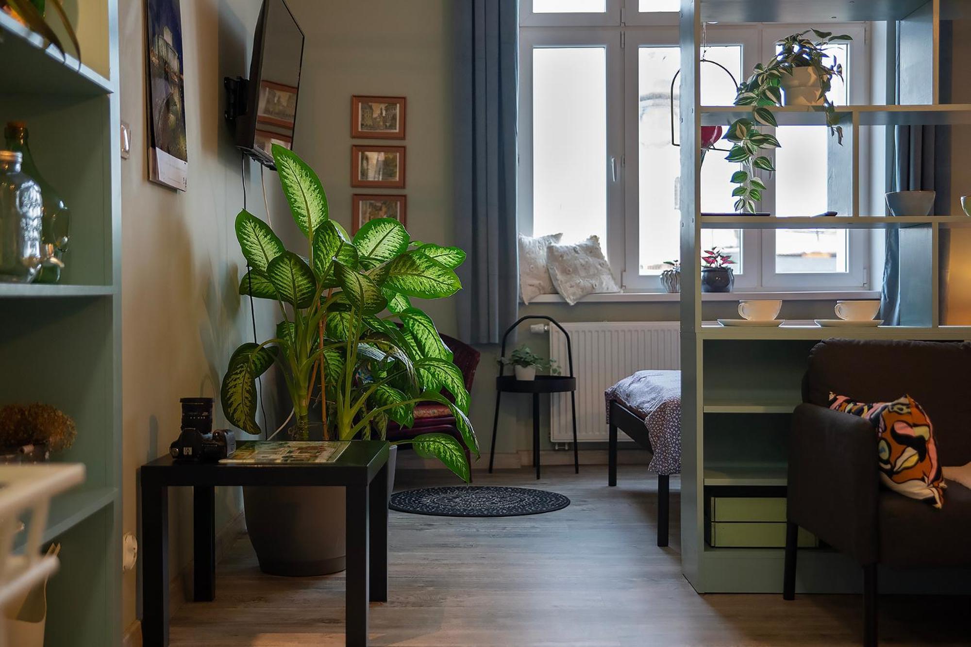 Apartament U Olechny 5 Bydgoszcz Luaran gambar